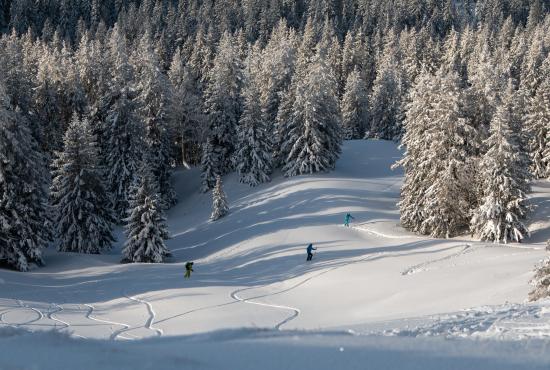 Randonnées raquettes à neige ecole de ski Saint Lary